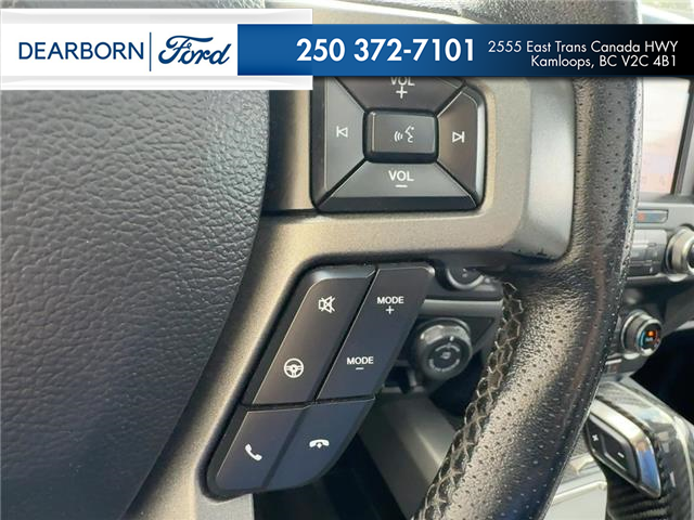 2019 Ford F-150 Raptor (Stk: T6041A) in Kamloops - Image 16 of 25