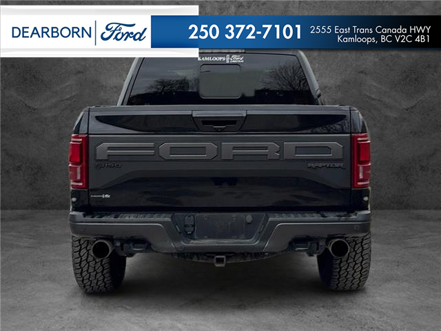 2019 Ford F-150 Raptor (Stk: T6041A) in Kamloops - Image 5 of 25