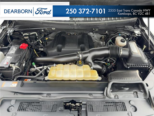 2019 Ford Expedition Platinum (Stk: N6065A) in Kamloops - Image 10 of 25