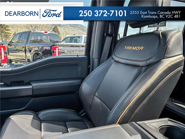 2025 Ford F-150 Tremor (Stk: MT173A) in Kamloops - Image 20 of 25