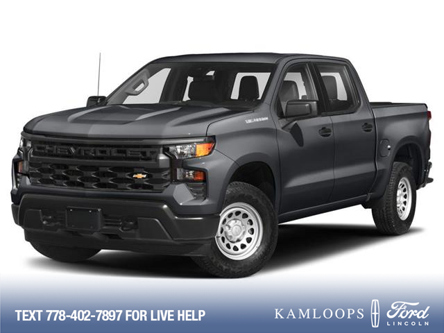 2022 Chevrolet Silverado 1500 LT Trail Boss (Stk: PP312) in Kamloops - Image 1 of 11