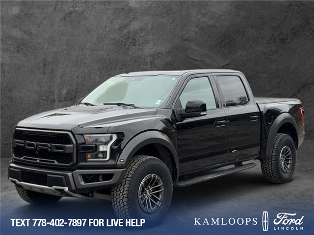 2019 Ford F-150 Raptor (Stk: T6041A) in Kamloops - Image 1 of 25