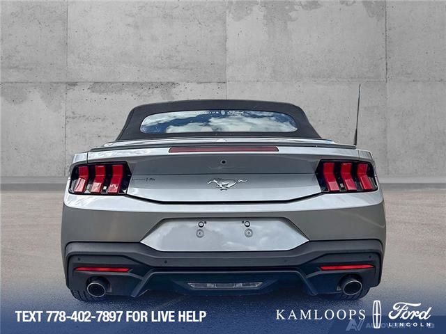2025 Ford Mustang EcoBoost Premium (Stk: 26P081) in Kamloops - Image 5 of 25