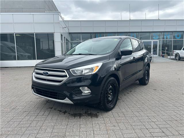 2019 Ford Escape SE (Stk: 2500271) in Ottawa - Image 1 of 15