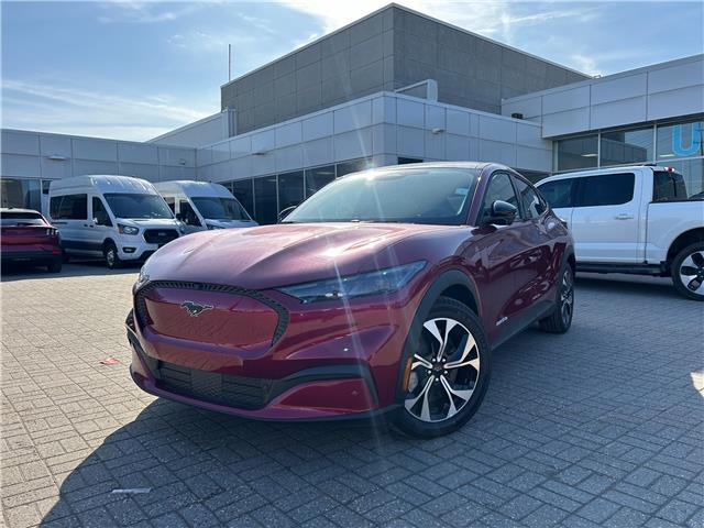2025 Ford Mustang Mach-E Select (Stk: 2502190) in Ottawa - Image 1 of 16