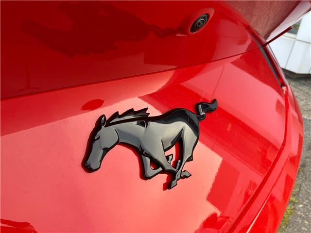 2025 Ford Mustang EcoBoost Premium (Stk: 2507430) in Ottawa - Image 7 of 20