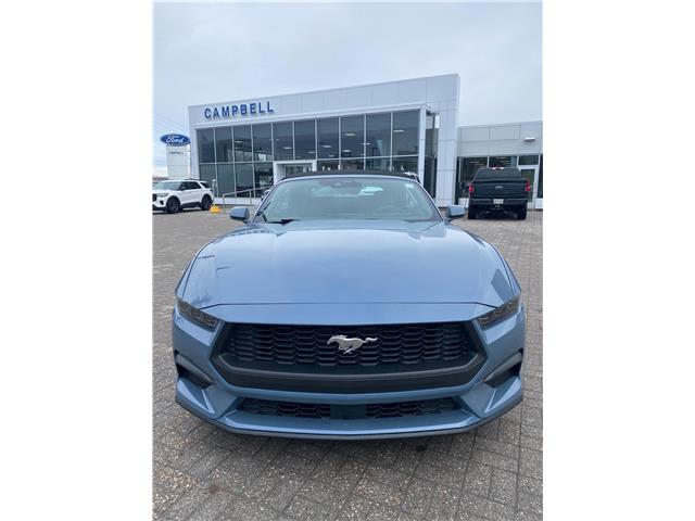 2026 Ford Mustang  (Stk: 2600250) in Ottawa - Image 4 of 21