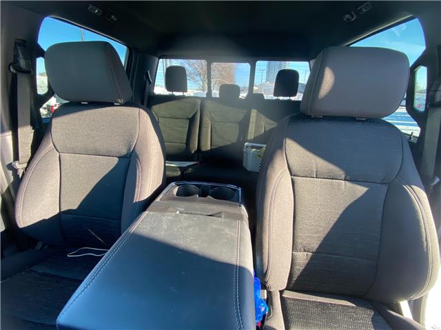2026 Ford F-150 XLT (Stk: 2600810) in Ottawa - Image 11 of 26 2026 Ford F-150 XLT (Stk: 2600810) in Ottawa - Image 11 of 26