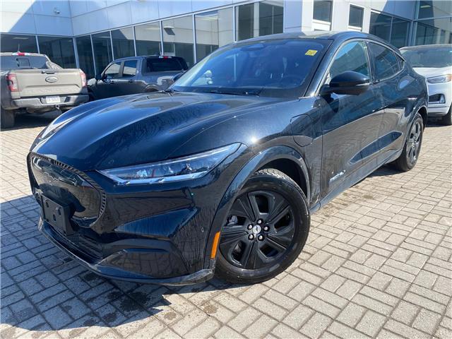 2023 Ford Mustang Mach-E California Route 1 (Stk: 980290) in Ottawa - Image 1 of 20
