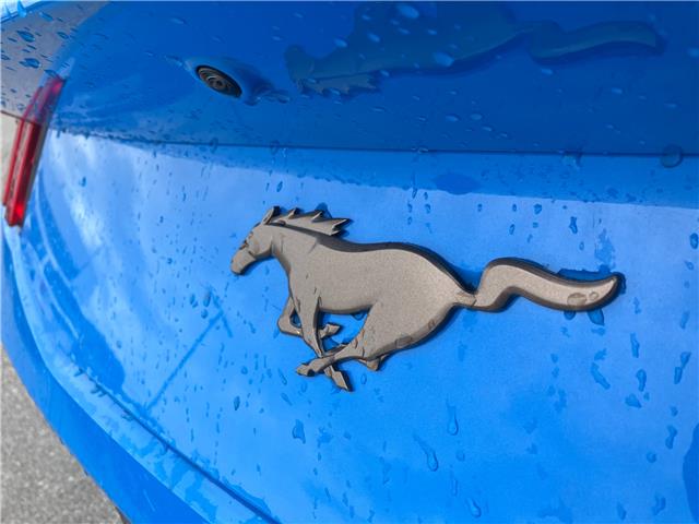 2026 Ford Mustang EcoBoost (Stk: 2600770) in Ottawa - Image 6 of 19