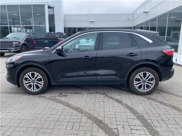 2022 Ford Escape SEL Hybrid (Stk: 2506511) in Ottawa - Image 3 of 27 2022 Ford Escape SEL Hybrid (Stk: 2506511) in Ottawa - Image 3 of 27