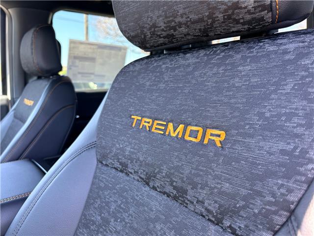 2026 Ford F-150 Tremor (Stk: 2604400) in Ottawa - Image 10 of 30