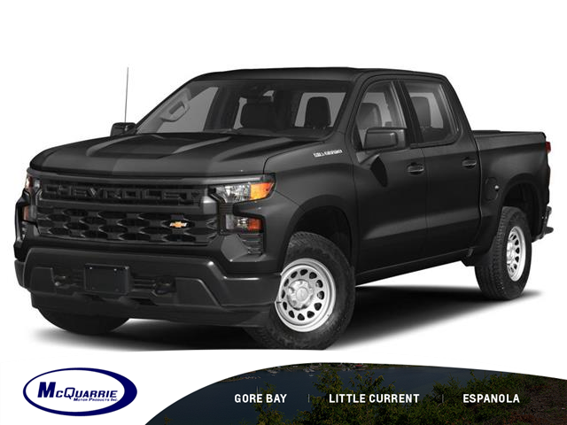 2023 Chevrolet Silverado 1500 LTZ (Stk: 23078) in Espanola - Image 1 of 11