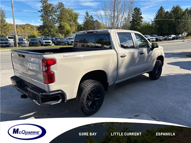 2026 Chevrolet Silverado 1500 Custom Trail Boss (Stk: 26973G) in Espanola - Image 4 of 10