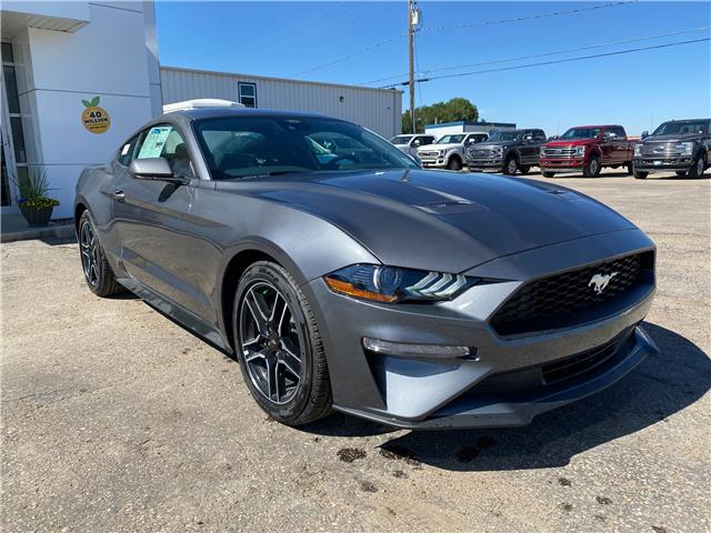 2022 Ford Mustang EcoBoost 1FA6P8TH6N5115160 22080 in Wilkie