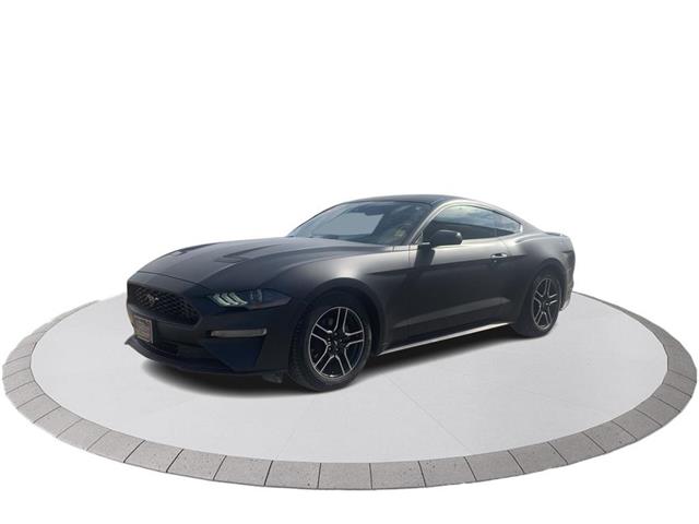 2020 Ford Mustang EcoBoost (Stk: P12155) in Winnipeg - Image 1 of 23