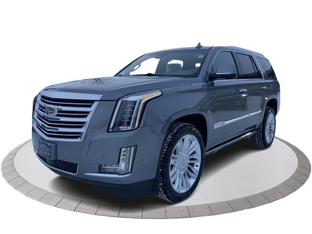 2019 Cadillac Escalade Platinum (Stk: 22T858A) in Winnipeg - Image 1 of 30