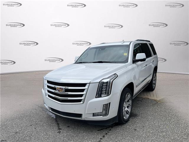 2020 Cadillac Escalade Premium Luxury (Stk: W5887) in Gatineau - Image 1 of 24