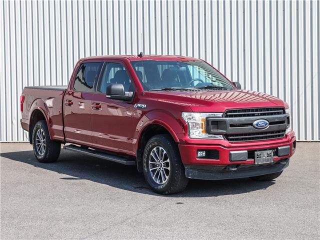 2019 Ford F-150 XLT (Stk: 23-115A) in Cowansville - Image 1 of 36