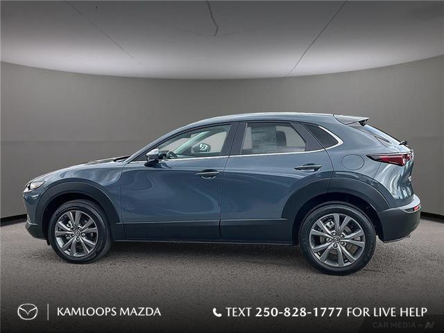 2025 Mazda CX-30 GS (Stk: ZS239) in Kamloops - Image 3 of 25
