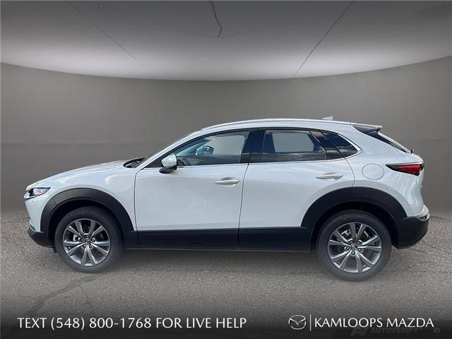 2025 Mazda CX-30 GT (Stk: ZS410) in Kamloops - Image 3 of 25