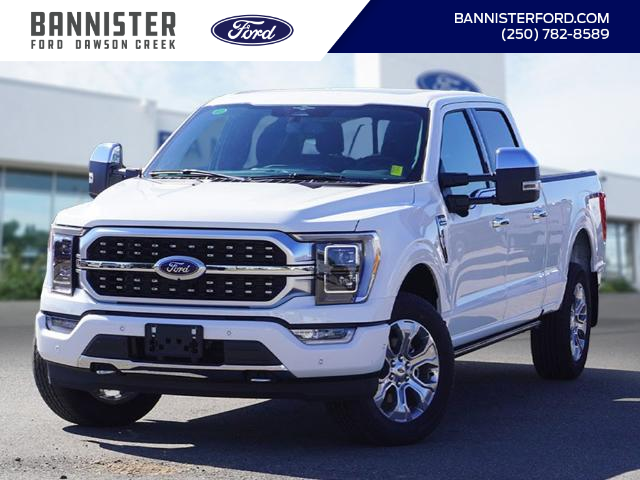 2023 Ford F-150 XL (Stk: FT237774) in Dawson Creek - Image 1 of 24
