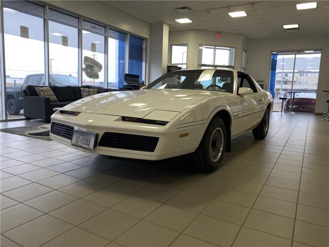 1983 Pontiac Firebird  (Stk: 247223) in Brooks - Image 1 of 18