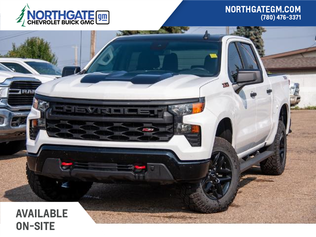 2022 Chevrolet Silverado 1500 Custom Trail Boss (Stk: 31383A) in Edmonton - Image 1 of 24
