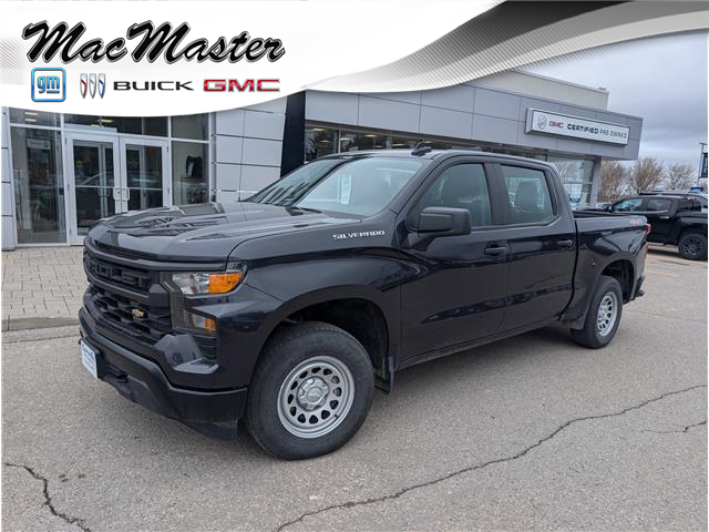 2024 Chevrolet Silverado 1500 Work Truck (Stk: B12460) in Orangeville - Image 1 of 19