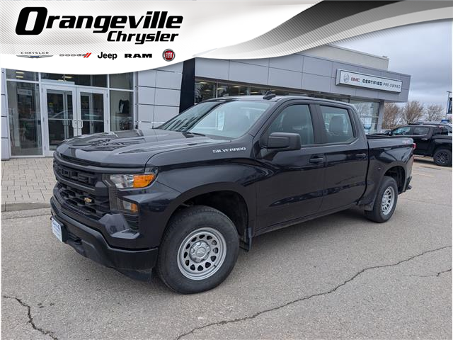 2024 Chevrolet Silverado 1500 Work Truck (Stk: B12460) in Orangeville - Image 1 of 19