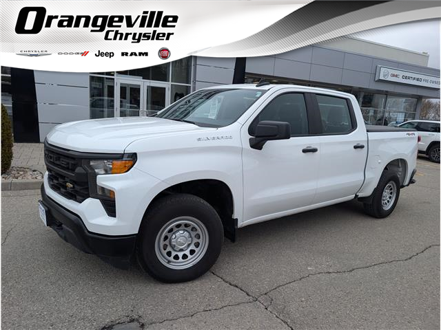 2024 Chevrolet Silverado 1500 Work Truck (Stk: B12465) in Orangeville - Image 1 of 20