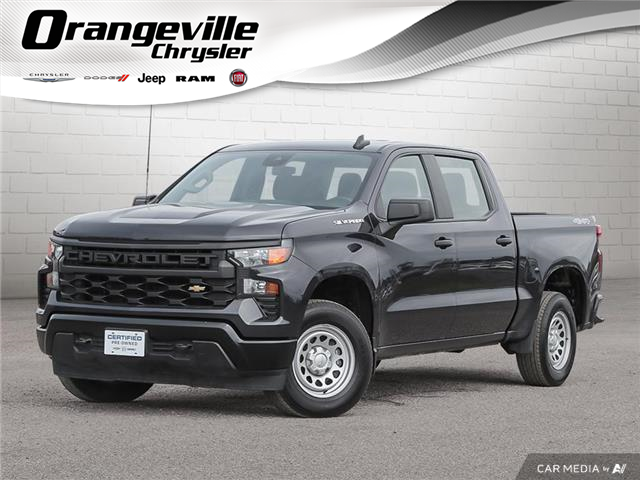 2024 Chevrolet Silverado 1500 Work Truck (Stk: B12460) in Orangeville - Image 1 of 32