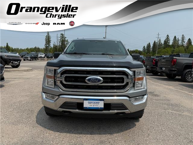 2022 Ford F-150 XLT (Stk: TP25164A) in Sundridge - Image 1 of 17