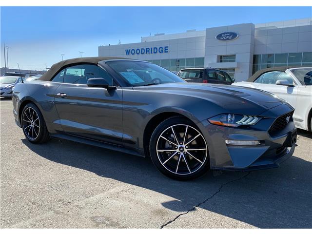 2022 Ford Mustang EcoBoost Premium (Stk: 18394) in Calgary - Image 1 of 24