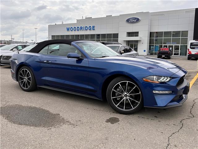 2022 Ford Mustang EcoBoost Premium (Stk: 18459) in Calgary - Image 1 of 24