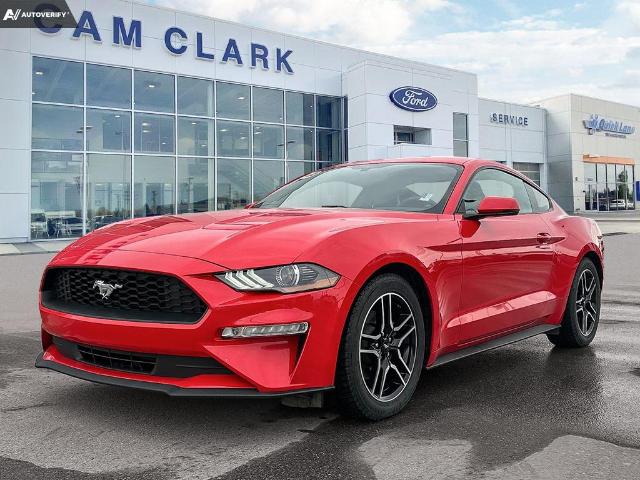 2019 Ford Mustang EcoBoost Premium (Stk: P6112) in Olds - Image 1 of 25
