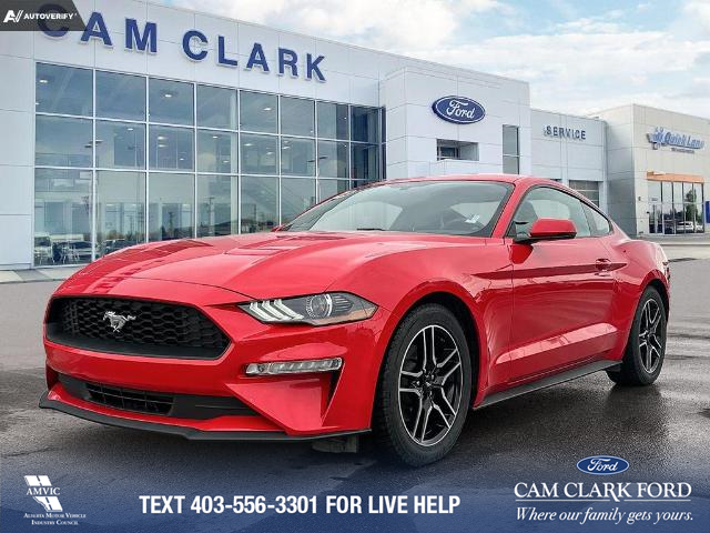 2019 Ford Mustang EcoBoost Premium (Stk: P6112) in Olds - Image 1 of 25