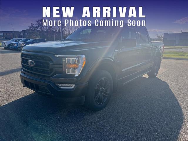 2021 Ford F-150 XLT (Stk: U36379) in Red Deer - Image 1 of 6