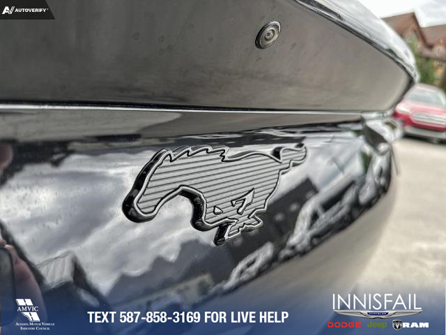 2023 Ford Mustang Mach-E Premium (Stk: 23CS9557) in Canmore - Image 10 of 25