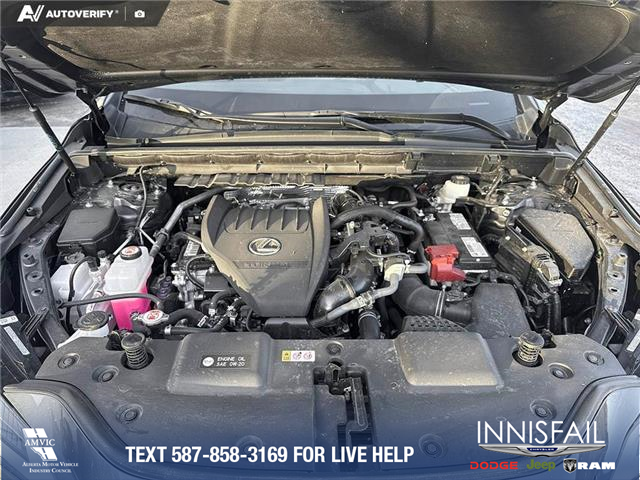 2023 Lexus NX 350 Base (Stk: P6895) in Olds - Image 10 of 25