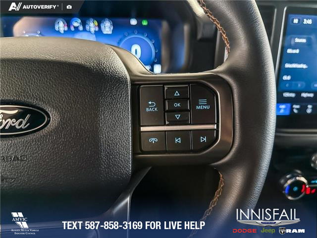 2025 Ford F-150 Tremor (Stk: P14906) in Airdrie - Image 16 of 25