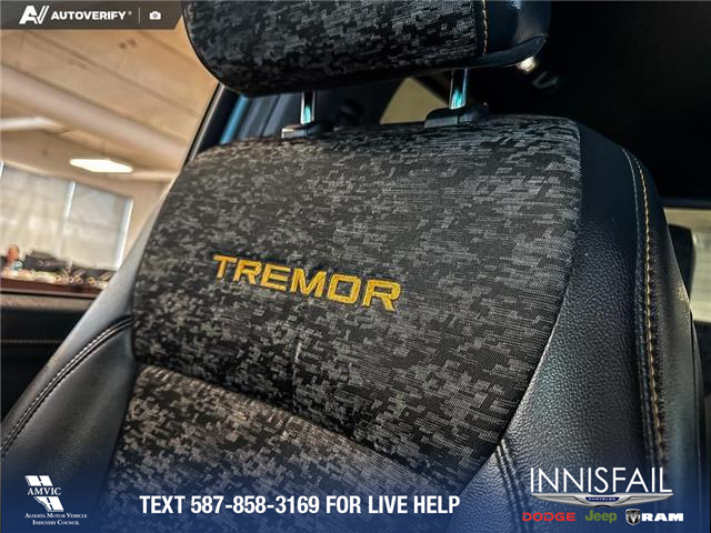2025 Ford F-150 Tremor (Stk: P14905) in Airdrie - Image 20 of 25
