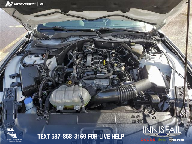 2022 Ford Mustang EcoBoost Premium (Stk: U38020) in Red Deer - Image 10 of 24