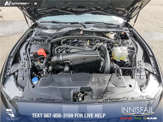 2024 Ford Mustang EcoBoost Premium (Stk: U38021) in Red Deer - Image 10 of 25