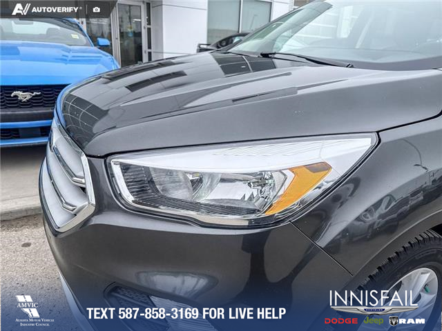 2019 Ford Escape SE (Stk: P7003) in Olds - Image 8 of 25
