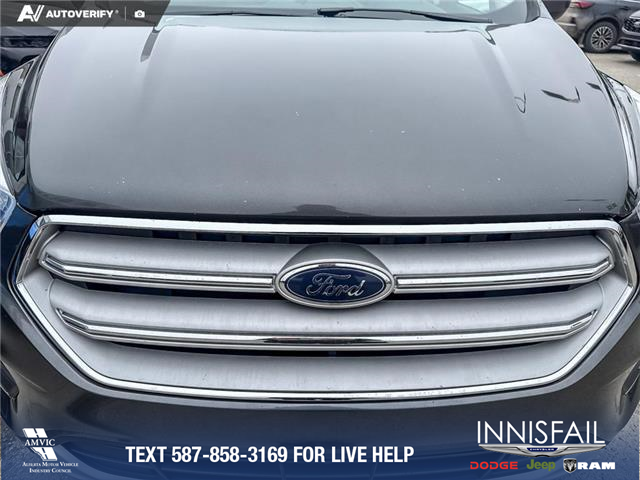 2019 Ford Escape SE (Stk: P7003) in Olds - Image 9 of 25