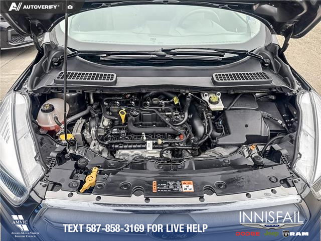2019 Ford Escape SE (Stk: P7003) in Olds - Image 10 of 25