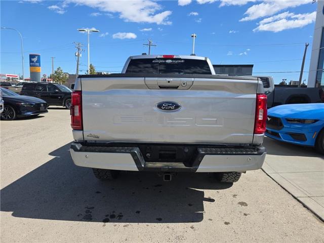 2021 Ford F-150 XLT (Stk: P7031) in Olds - Image 5 of 5 2021 Ford F-150 XLT (Stk: P7031) in Olds - Image 5 of 5