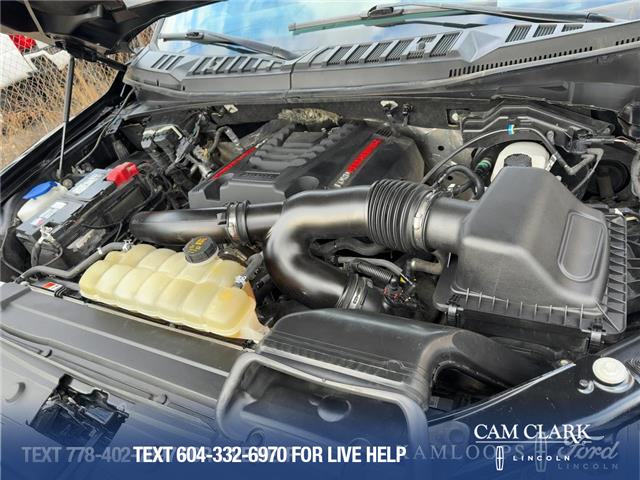 2019 Ford F-150 Raptor (Stk: T6041A) in Kamloops - Image 10 of 25