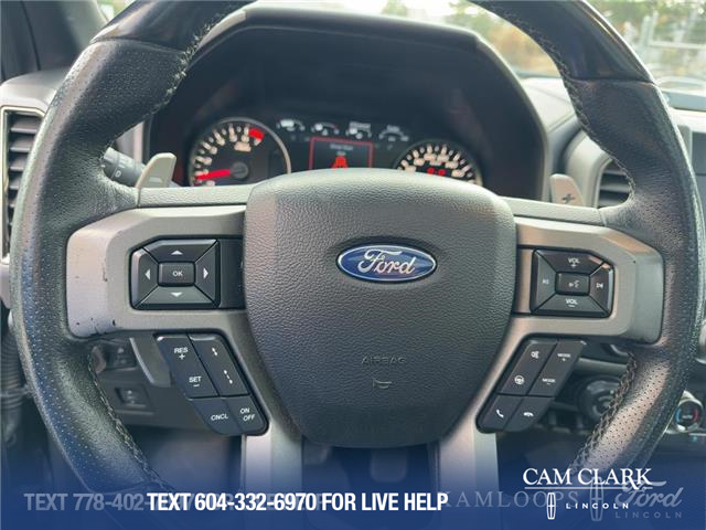 2019 Ford F-150 Raptor (Stk: T6041A) in Kamloops - Image 14 of 25